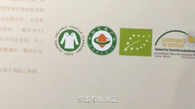 14.png